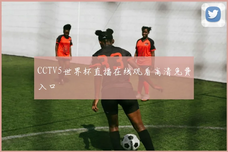 CCTV5世界杯直播在线观看高清免费入口